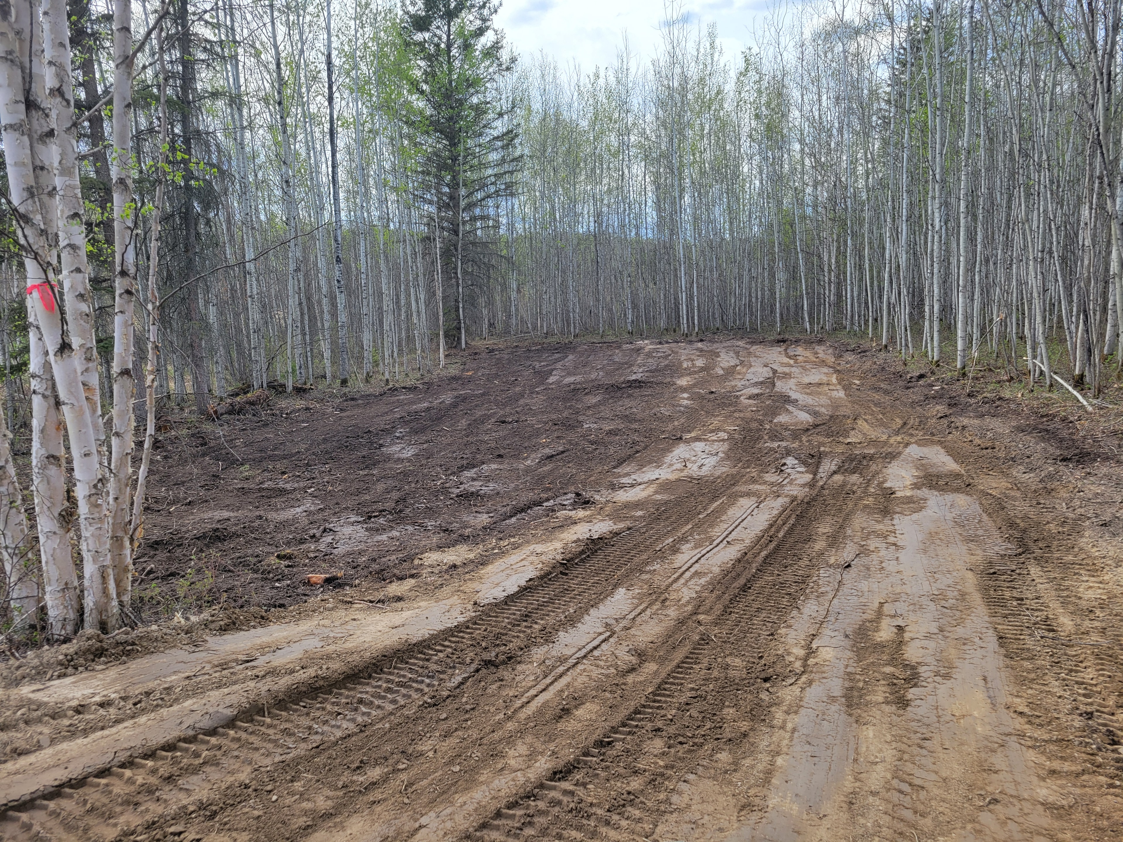 TV Contracting project 19